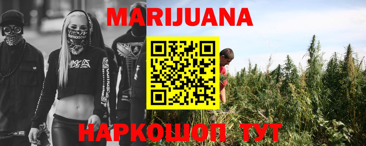 Бошки марихуана ГИДРОПОН Тамбов